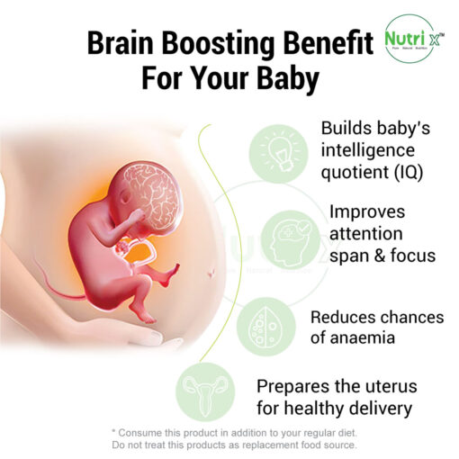 Pregnancy Healthy Mix (500gm) - Image 2