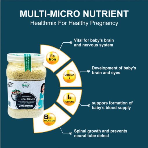 Pregnancy Healthy Mix (500gm) - Image 3